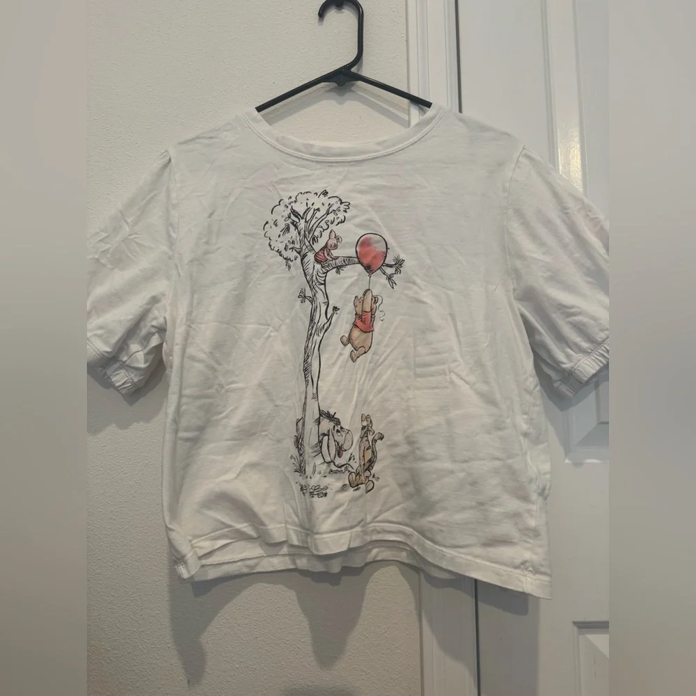 Disneyland Winnie the Pooh Cropped Graphic Tee – Size Large